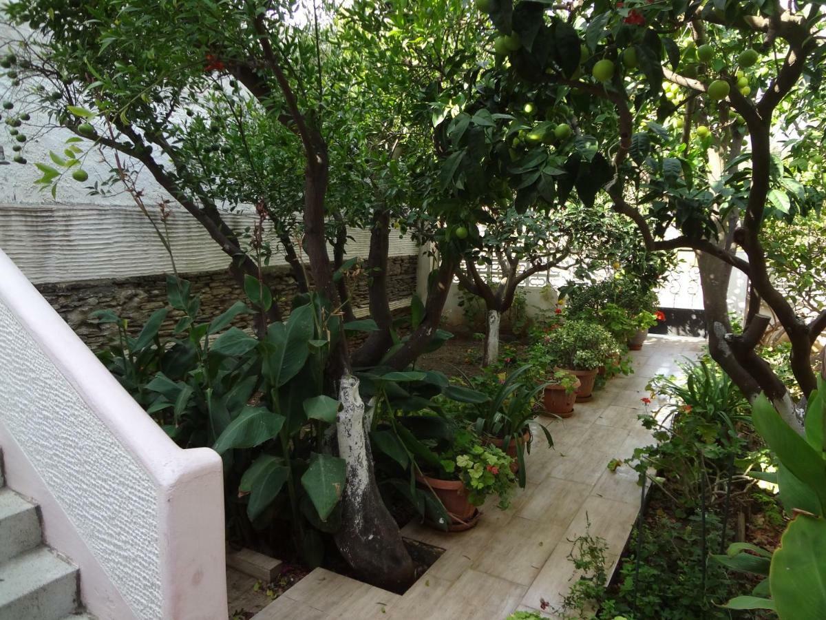 Cozy Citrus Garden House By The Seaside. Villa Chones Exterior photo