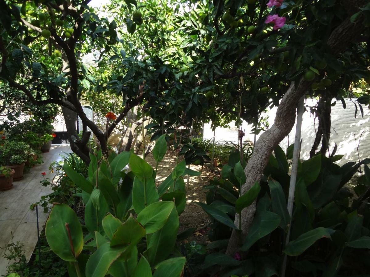 Cozy Citrus Garden House By The Seaside. Villa Chones Exterior photo