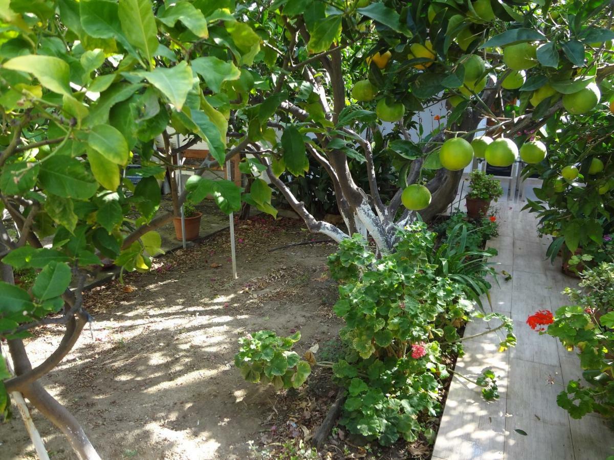 Cozy Citrus Garden House By The Seaside. Villa Chones Exterior photo